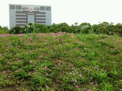 -上海中医药大学-食堂