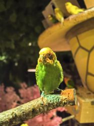 -酷嗒动物文化乐园(cutezoo西溪乐天城店)