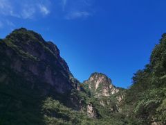 -北京龙庆四季香农家饭庄·灶台鱼·碳烤虹鳟鱼(龙庆峡店)