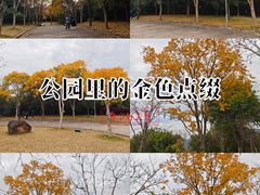 -牛岗山公园