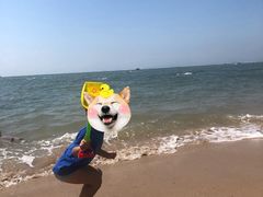 -碧桂园十里银滩