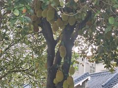 -黄埔古港