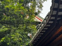 -南园酒家(前进路店)
