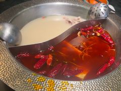 -麻田会 ·鲜活现烹·牛蛙火锅(珠江新城维家思广场店)