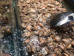 -盒马鲜生(曜一城店)