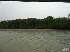 -东寨港红树林旅游区