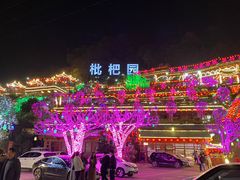 -枇杷园食为鲜火锅(南山店)