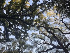 -普陀山风景名胜区-法雨禅寺