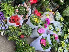 -循礼门鲜花花市(武汉循礼门店)