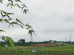 -紫颐香薰山谷景区