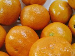 -江小渔鲜鱼火锅(西二道街店)
