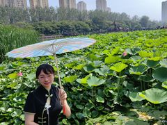 -前关湿地公园
