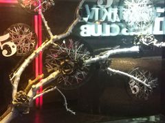 -5号KTV音乐广场(天通苑店)