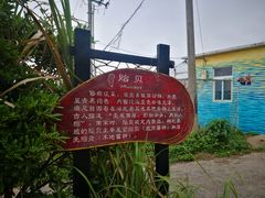 -枸杞岛