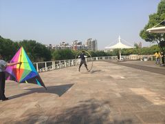 -新江湾城公园