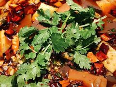 -江南大院松鼠桂鱼(奉贤宝龙店)