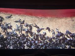 -UME影城(西城广场店)