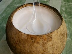 -椰爺爺·椰子冻砵仔糕