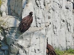 -鄂尔多斯野生动物园