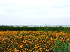 -七的湖·晚芳亭·阳澄湖农家菜·大闸蟹(莲花岛店)