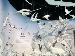 -中国湿地博物馆