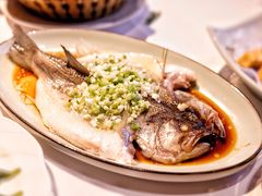 椒汁蒸鲈鱼-禧宴Joyous Restaurant(禧园店)