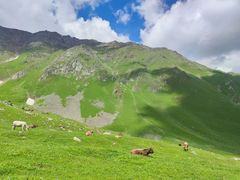 -新疆那拉提国家旅游度假区