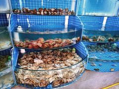 -蓝珊甄选海鲜自助·火锅大排档(近阿那亚店)
