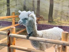 -梦幻海洋王国(吾悦广场张家港店)