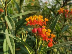 -上海植物园-4号门售票处