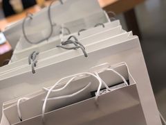 -Apple零售店(深圳益田假日广场店)