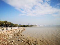 -深圳湾公园(南山区)