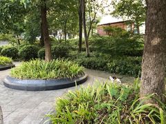 -敬亭山风景名胜区