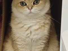 -湘聚缘湘菜馆(斜土路店)