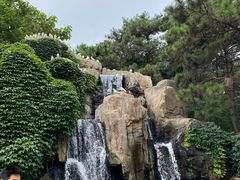 -燕塞湖鸟语林景区