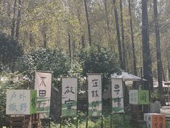 -林间山庄