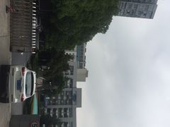 -上海市世外小学