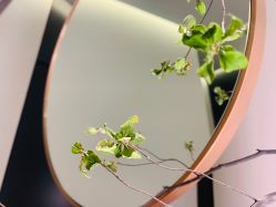 -LB·海菲秀牛奶光官方体验中心