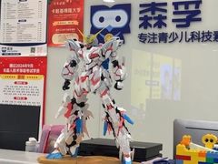 -森孚机器人编程·STEM积木·等级考试(虹口足球场中心)