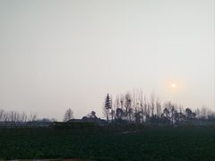 -中国天府农业博览园