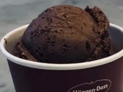 比利时巧克力品脱冰淇淋-哈根达斯(青岛海信店)