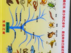 -上海昆虫博物馆