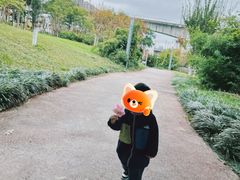 -白鹭湾湿地公园