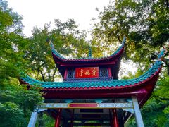 -岳麓山风景名胜区