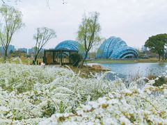 -上海植物园-4号门售票处