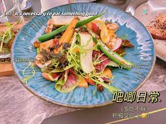 -Hi City·城市之巅