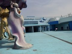 -芜湖新华联大白鲸海洋公园