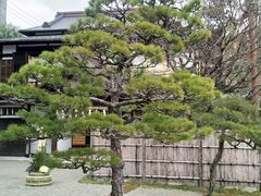 景点-水前寺成趣园