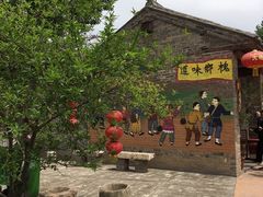-大槐树寻根祭祖园