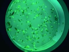 -多彩贵州城极地海洋世界